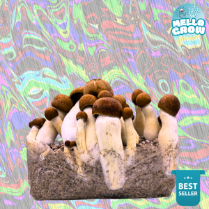 Growbag - Jedi Mind Fuck