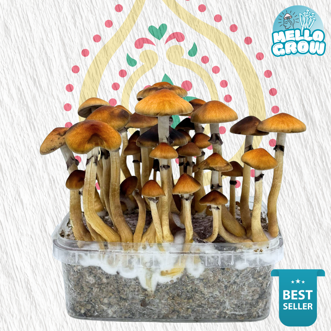 Growkit – McKennaii