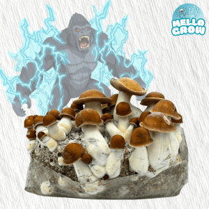 Growbag- Makilla Gorilla