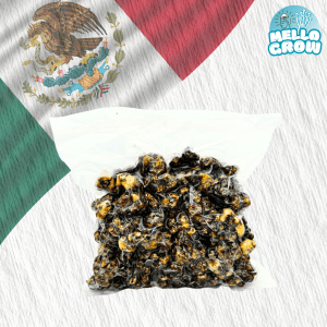 mEXICANA TRUFFEL Mexicana Truffel