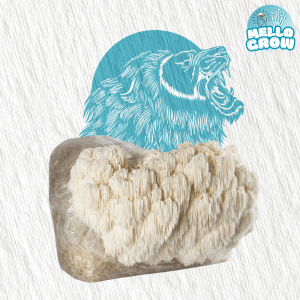 LIONSMANE growbag Growbag- Lionsmane