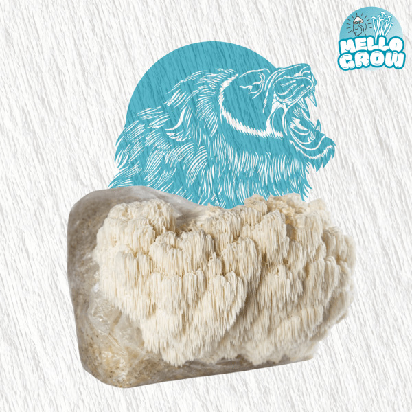 Growbag- Lionsmane