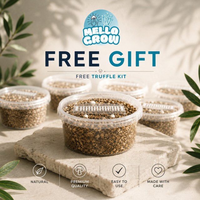 🎁 𝗙𝗥𝗘𝗘 𝗚𝗜𝗙𝗧 𝗪𝗜𝗧𝗛 𝗬𝗢𝗨𝗥 𝗢𝗥𝗗𝗘𝗥! 🍄Ready to grow? We’re adding a little something extra to your order. 🌱Get a FREE Truffle Kit with your purchase and start your growing journey with Mellogrow. 💙✨ Premium quality
🌱 Natural
👌 Easy to use
❤️ Made with careDon’t miss out — your free gift is waiting.#MelloGrow #FreeGift #TruffleKit #GrowKit #MushroomGrowing #GrowYourOwn #PremiumQuality #NaturalGrowing
