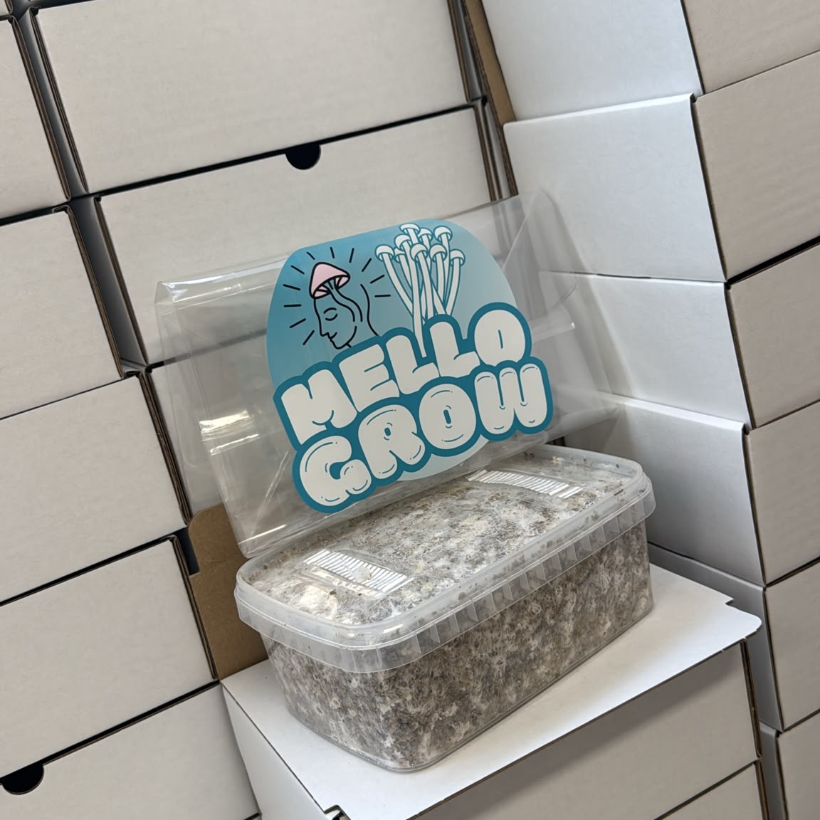 🔥 Orders are flying out! Our FREE Truffle Kit is still available, but only while supplies last. 🍄Don’t wait too long… once they’re gone, they’re gone! 👀