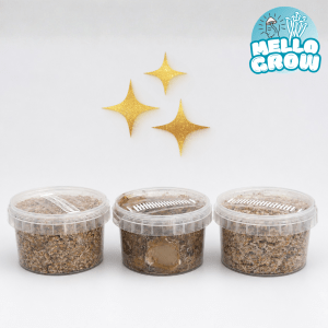 Truffle Experience 3-Pack – Mexicana, Tampanensis & Galindoi